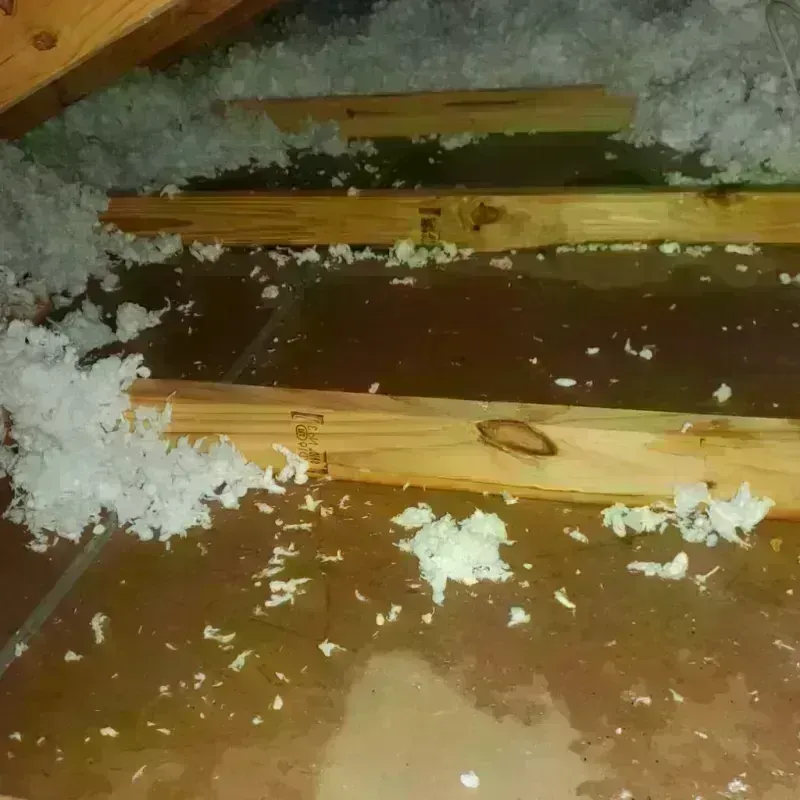 Attic Water Damage in Republic County, KS