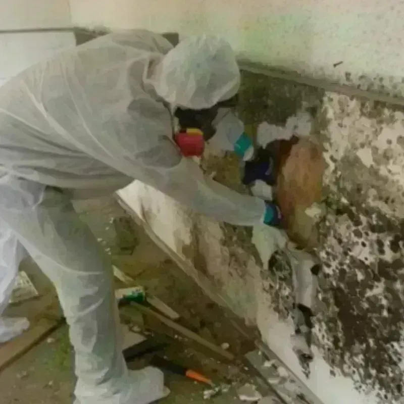 Mold Remediation and Removal in Republic County, KS