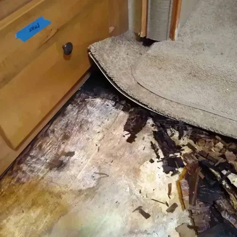 Wood Floor Water Damage in Republic County, KS